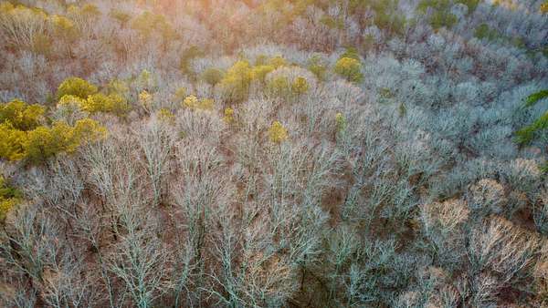 32.6 Acres of Land for Sale in Heflin, Alabama