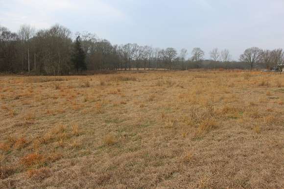 15 Acres of Land for Sale in Brookhaven, Mississippi