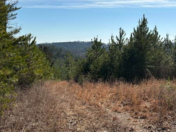 213 Acres of Land for Sale in Evansville, Tennessee