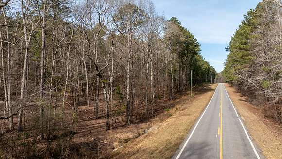 38.2 Acres of Recreational Land for Auction in Jackson, Georgia