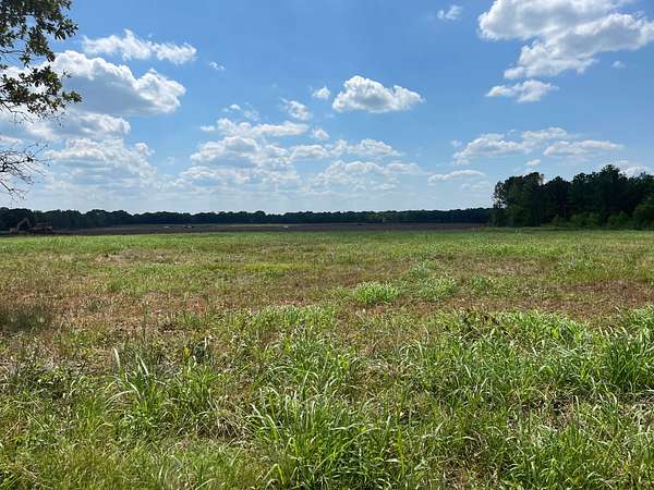 14 Acres of Land for Sale in Clarksville, Texas