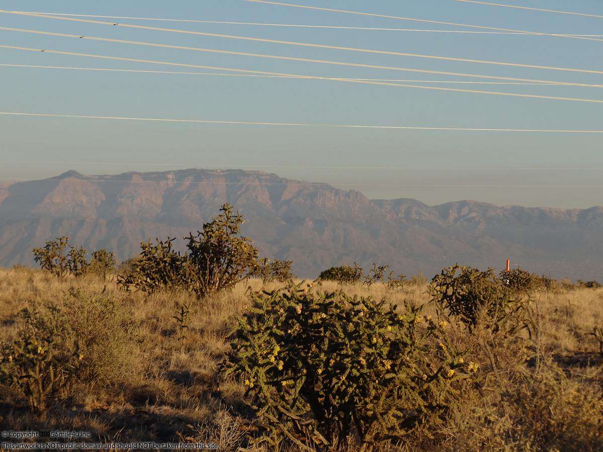 0.5 Acres of Residential Land for Sale in Rio Rancho, New Mexico