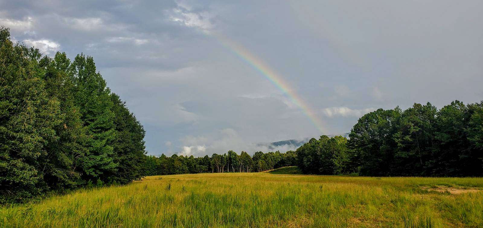 9.3 Acres of Agricultural Land for Sale in Big Cedar, Oklahoma