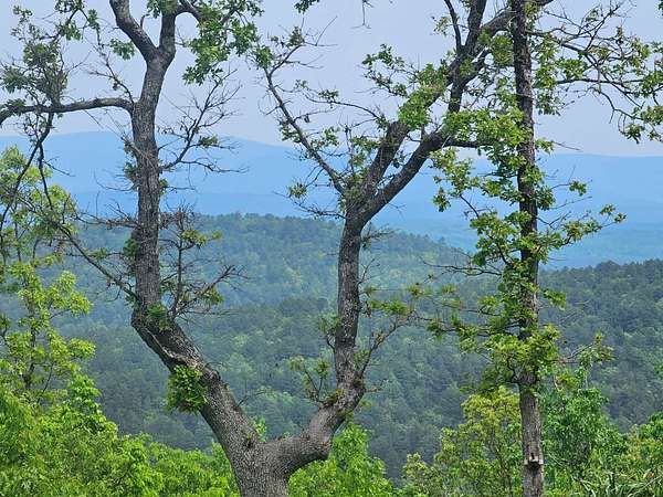 38.6 Acres of Recreational Land for Sale in Talihina, Oklahoma