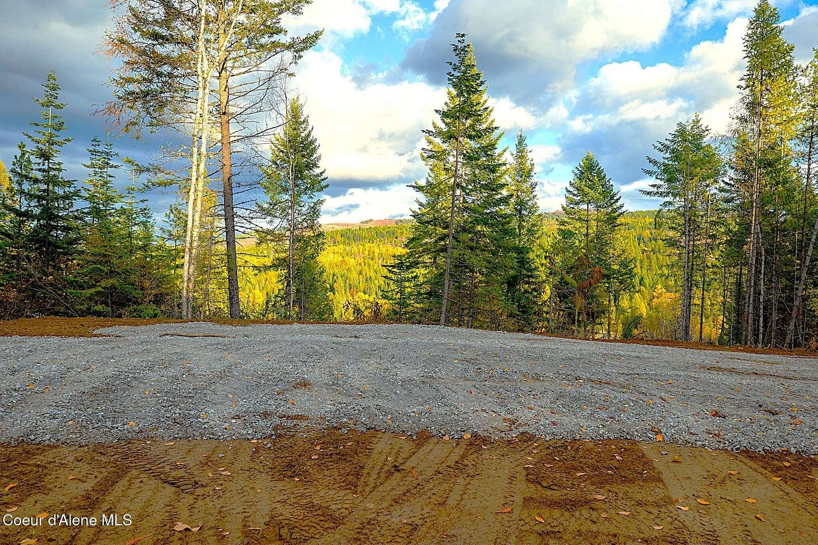 40 Acres of Land for Sale in Careywood, Idaho