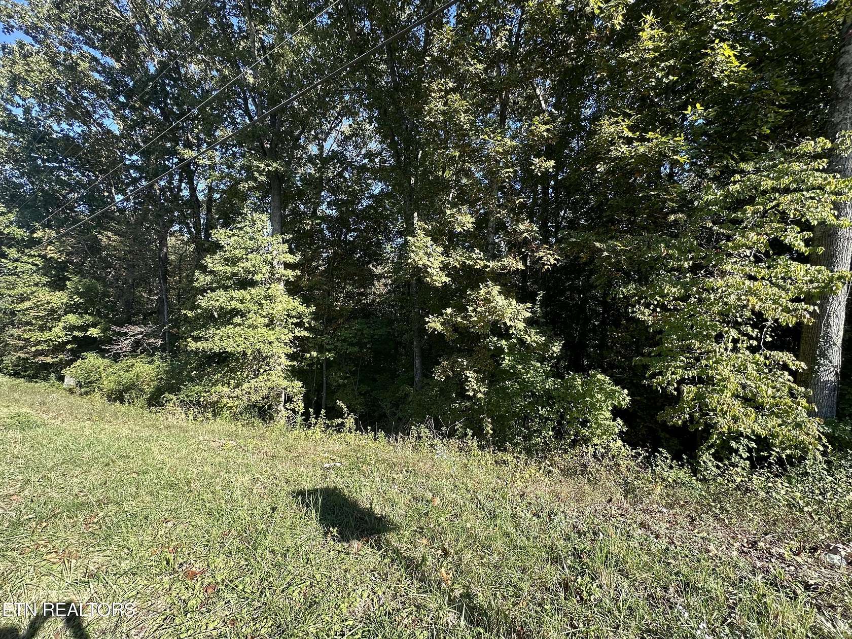 2.89 Acres of Residential Land for Sale in Rockwood, Tennessee