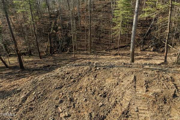 0.47 Acres of Residential Land for Sale in Bristol, Tennessee