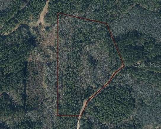 21.4 Acres of Land for Sale in Bonifay, Florida