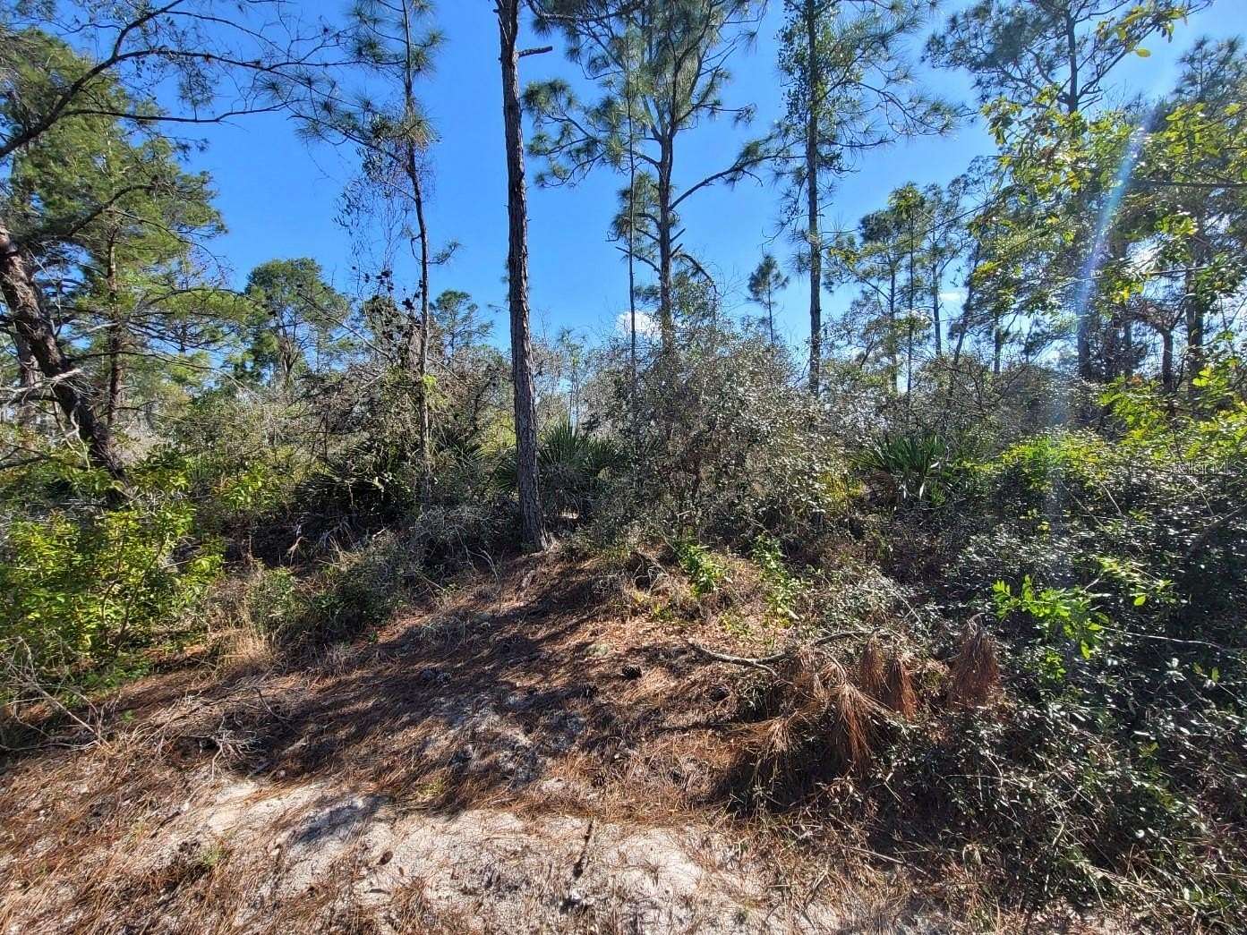 0.21 Acres of Residential Land for Sale in Lake Placid, Florida