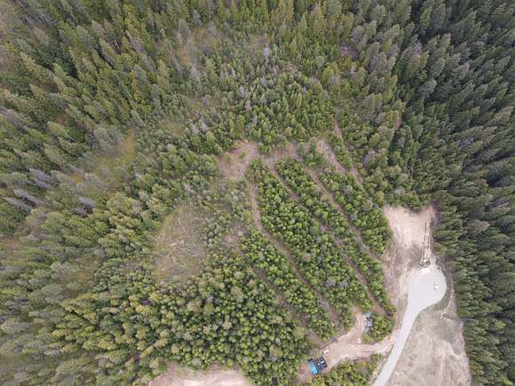 A shot of the property 10 acres from the cul-de-sac to directly access to the property