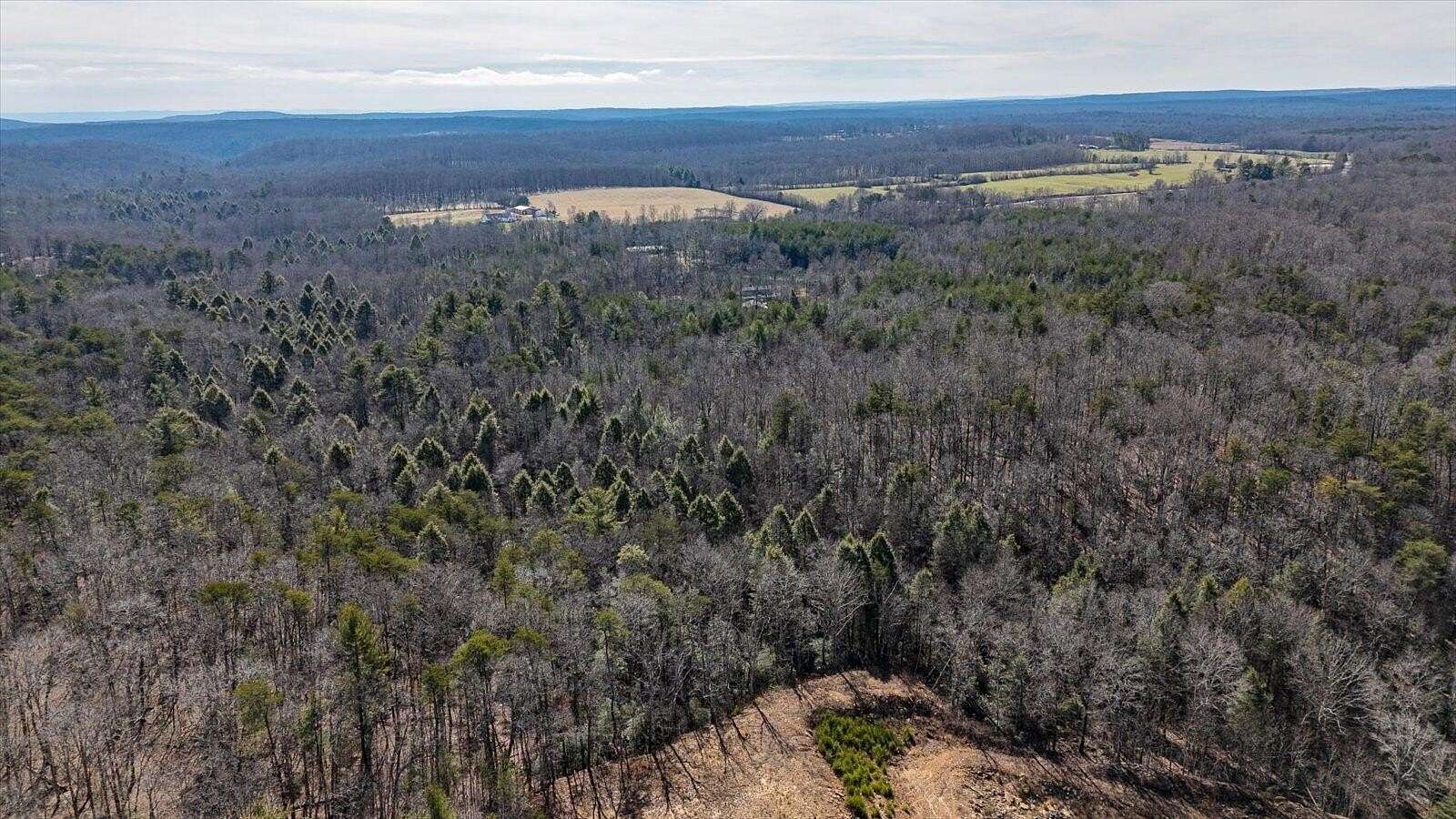 42 Acres of Recreational Land for Sale in Graysville, Tennessee