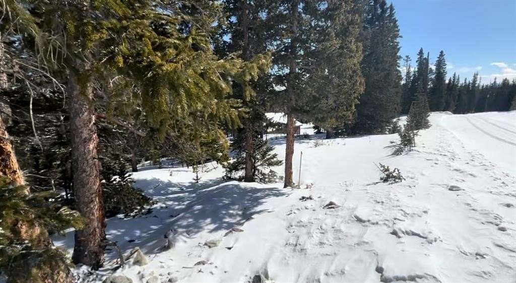 1 Acre of Residential Land for Sale in Fairplay, Colorado