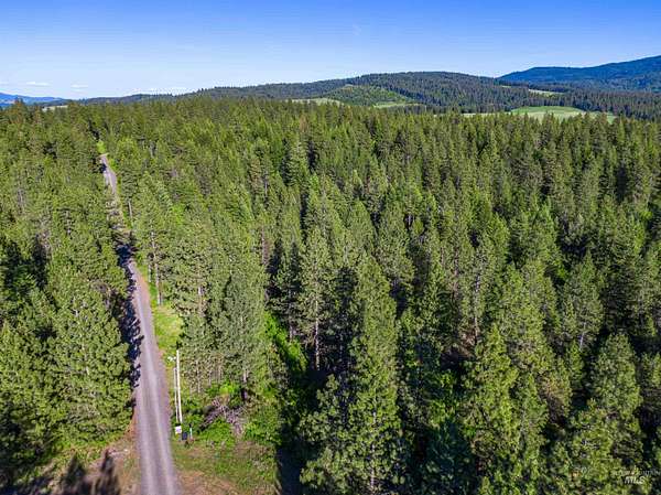 20 Acres of Land for Sale in Viola, Idaho