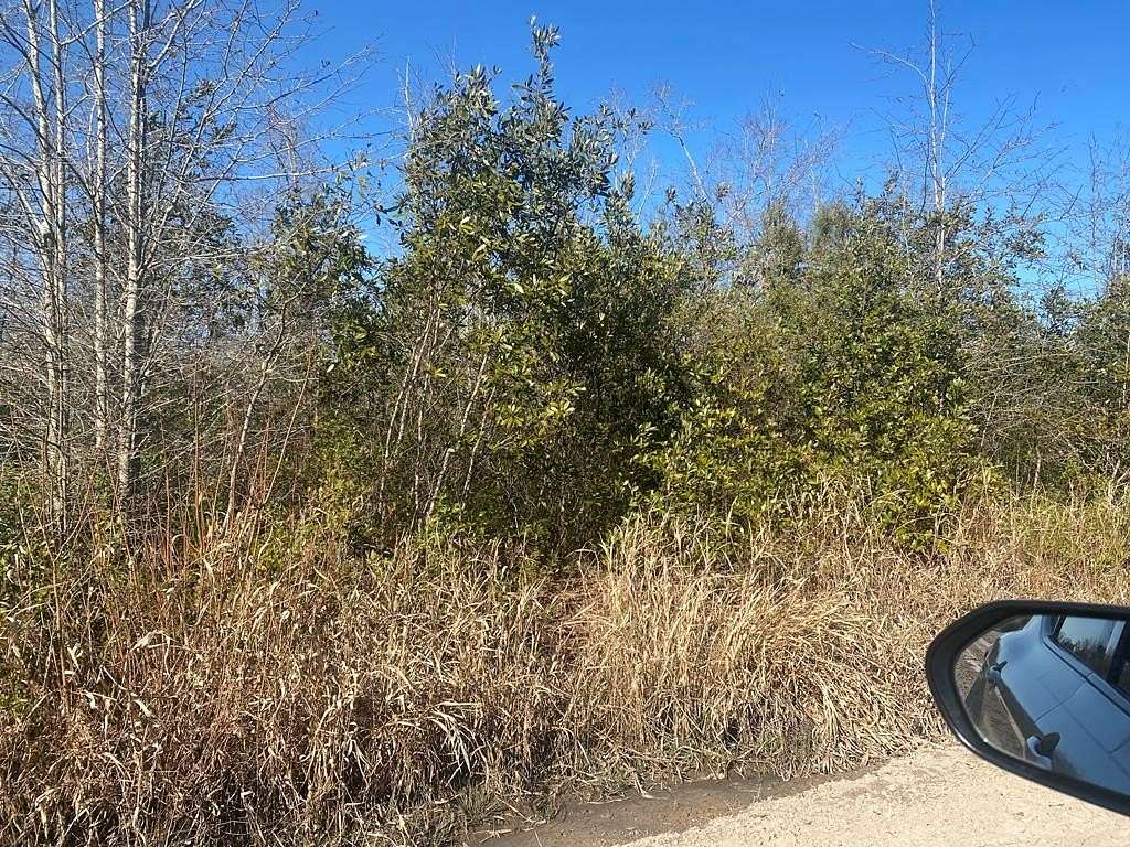 20.2 Acres of Land for Sale in Adel, Georgia