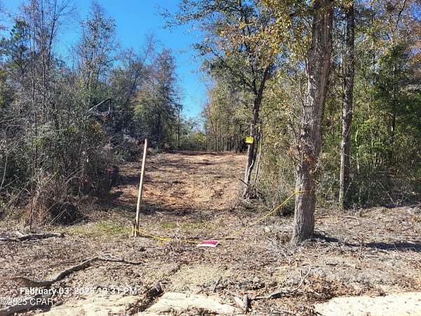 7.1 Acres of Residential Land for Sale in Altha, Florida
