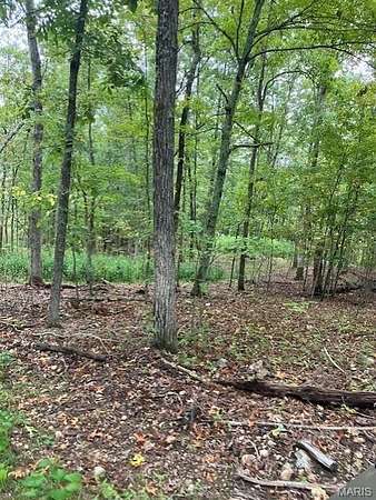 12.7 Acres of Recreational & Residential Land for Sale in Fredericktown, Missouri