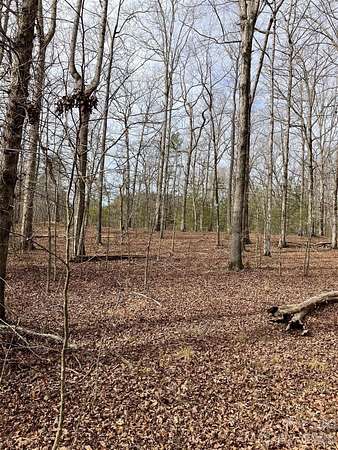 4 Acres of Residential Land for Sale in Columbus, North Carolina