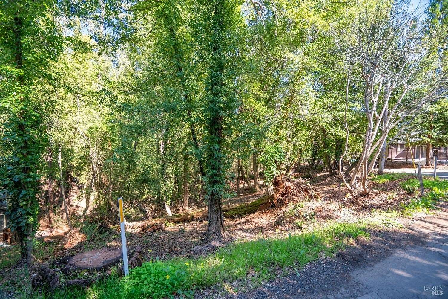 0.22 Acres of Residential Land for Sale in Forestville, California