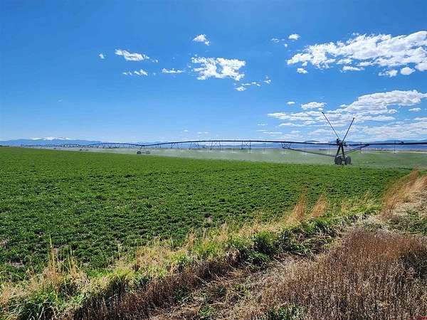 309 Acres of Agricultural Land for Sale in Center, Colorado