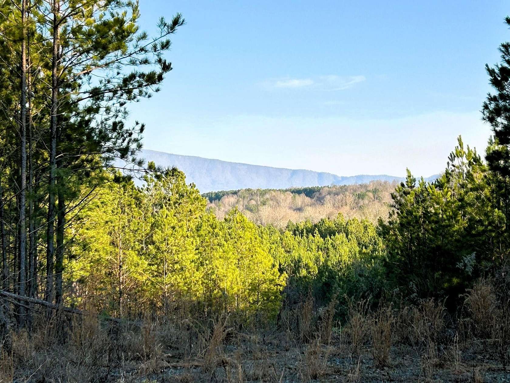 21.4 Acres of Recreational Land for Sale in Calhoun, Tennessee