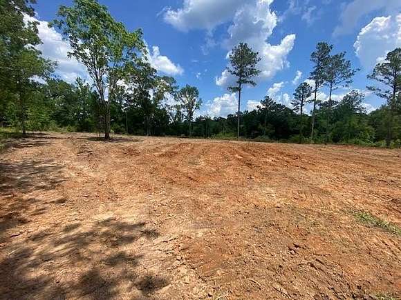 2 Acres of Residential Land for Sale in Waynesboro, Mississippi