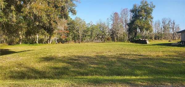 0.21 Acres of Residential Land for Sale in Land O' Lakes, Florida