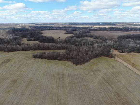 55.2 Acres of Agricultural Land for Sale in Paris, Illinois