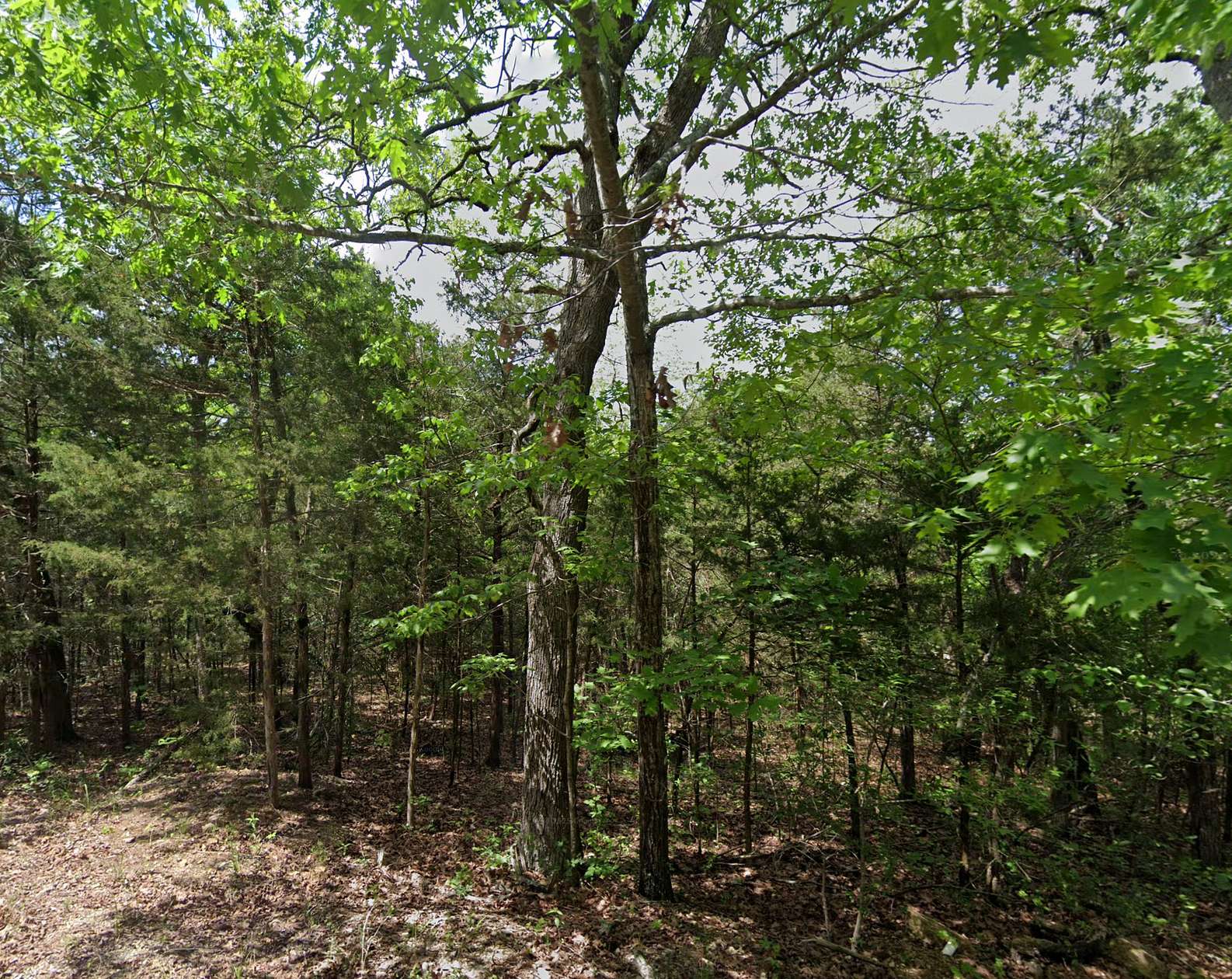 0.31 Acres of Residential Land for Sale in Horseshoe Bend, Arkansas