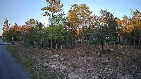0.23 Acres of Residential Land for Sale in Citrus Springs, Florida