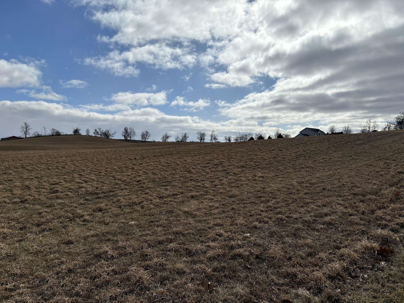 6.6 Acres of Residential Land for Sale in Manchester, Michigan