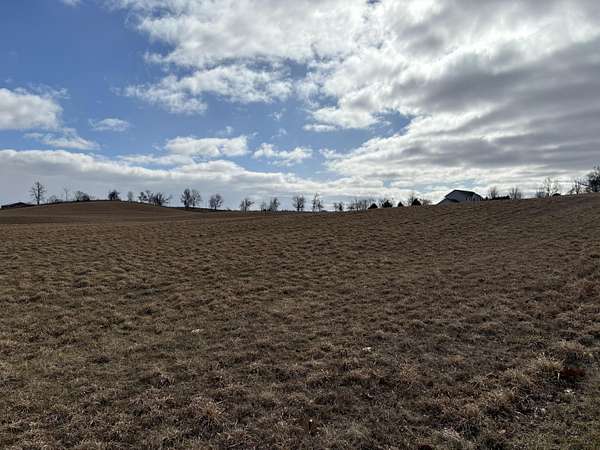 6.6 Acres of Residential Land for Sale in Manchester, Michigan