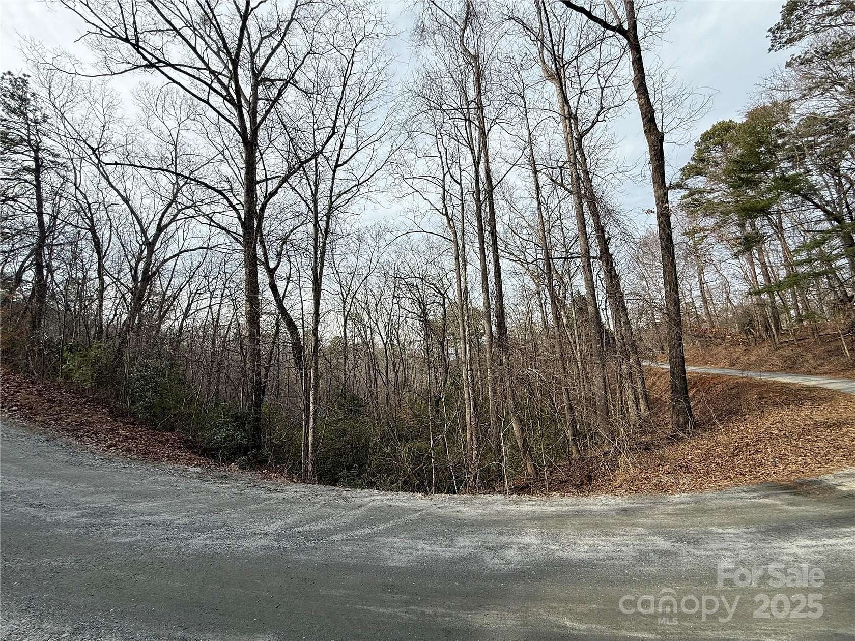 1.56 Acres of Land for Sale in Lake Lure, North Carolina