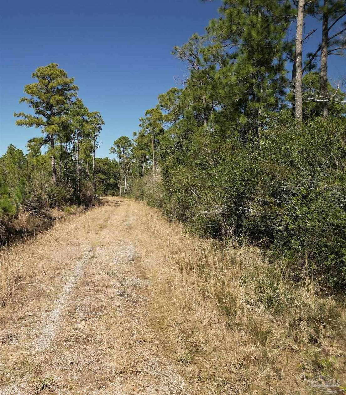 20.5 Acres of Land for Sale in Milton, Florida