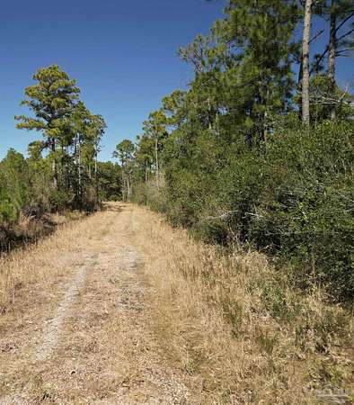 20.5 Acres of Land for Sale in Milton, Florida