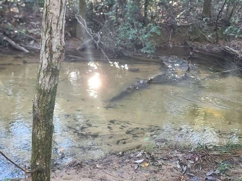 4 Acres of Land for Sale in DeFuniak Springs, Florida