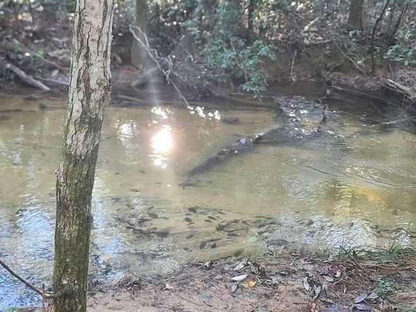 4 Acres of Land for Sale in DeFuniak Springs, Florida