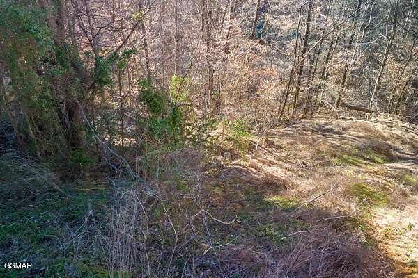 0.01 Acres of Residential Land for Sale in Sevierville, Tennessee