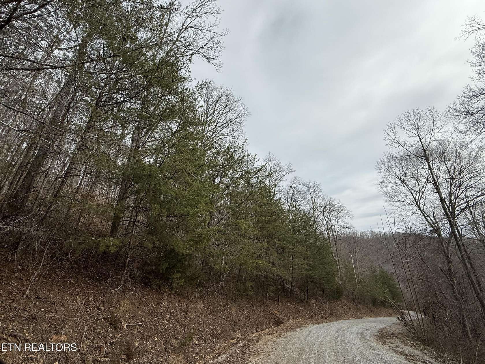 6.2 Acres of Residential Land for Sale in Speedwell, Tennessee