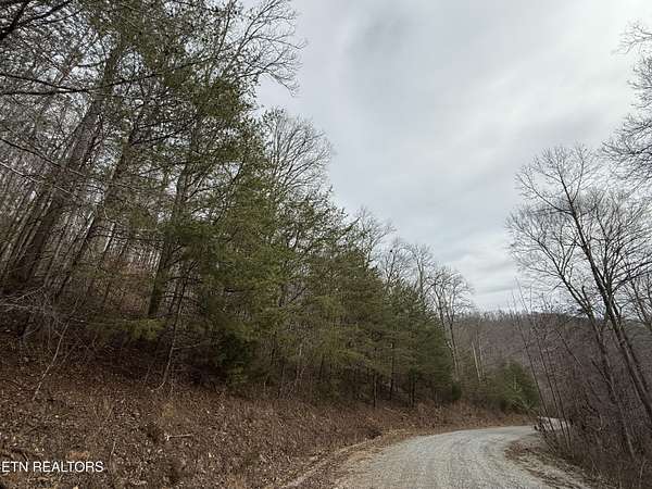 6.2 Acres of Residential Land for Sale in Speedwell, Tennessee