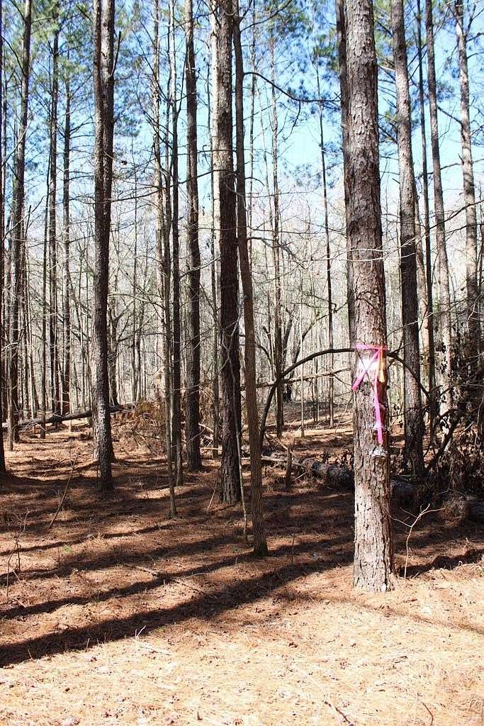 Residential Land for Sale in Harrison, Georgia