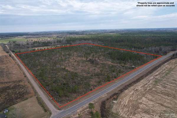 39.1 Acres of Agricultural Land for Sale in Walnut Hill, Florida