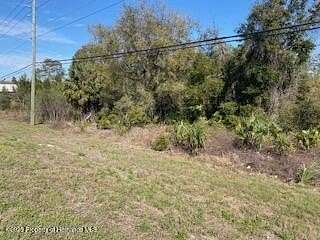 0.31 Acres of Land for Sale in Weeki Wachee, Florida
