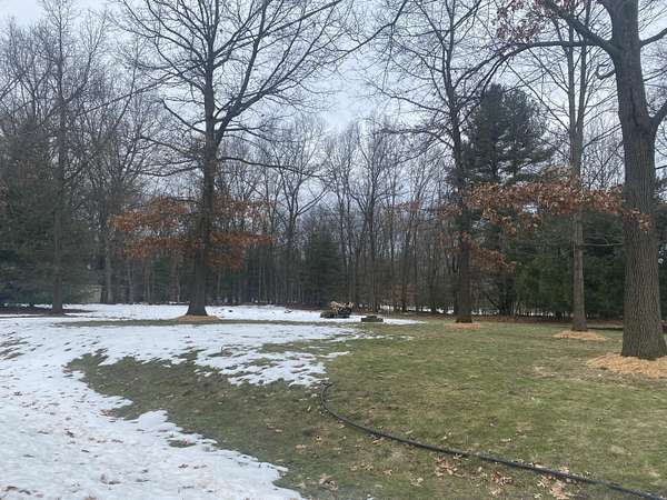 0.31 Acres of Residential Land for Sale in Grand Junction, Michigan