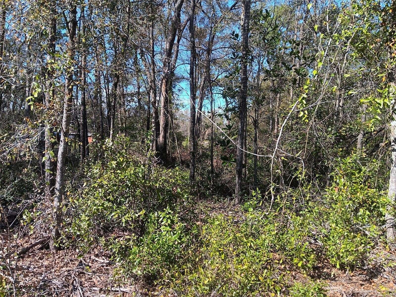 0.46 Acres of Land for Sale in Bronson, Florida