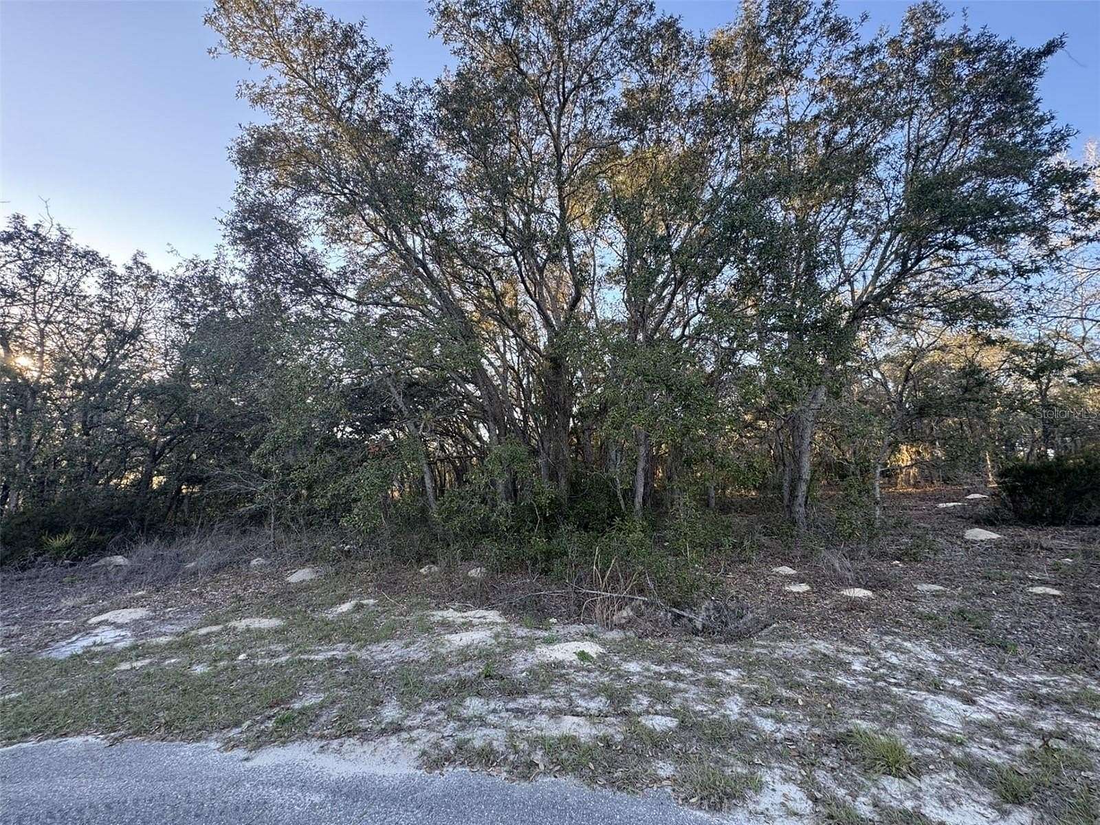 0.62 Acres of Residential Land for Sale in Ocala, Florida