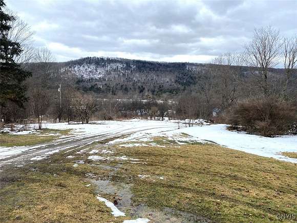 142 Acres of Recreational Land for Sale in Wellsville, New York