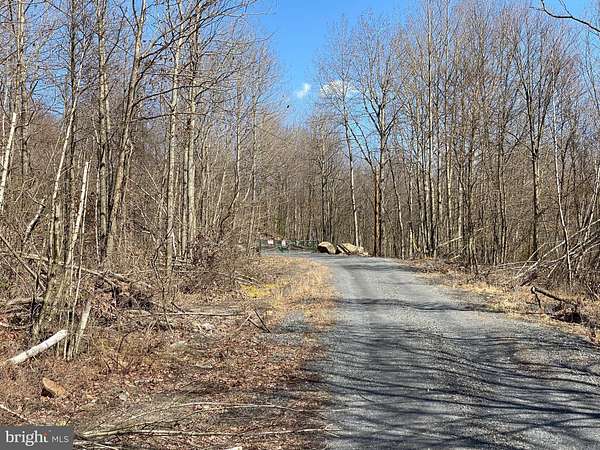 233 Acres of Recreational Land for Sale in Mahanoy City, Pennsylvania
