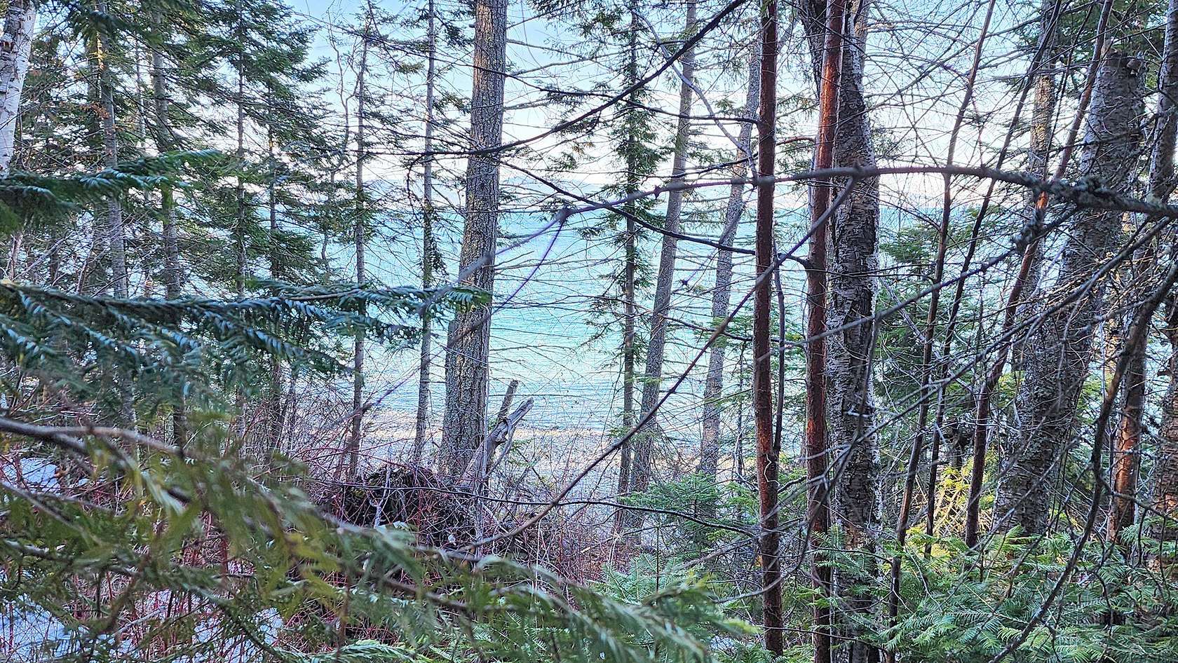 6.8 Acres of Land for Sale in Bigfork, Montana