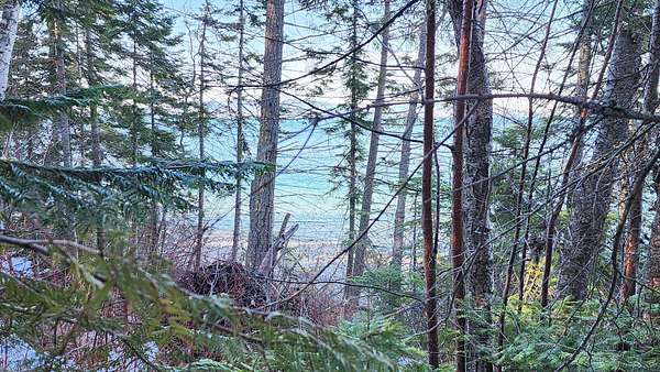 6.8 Acres of Land for Sale in Bigfork, Montana