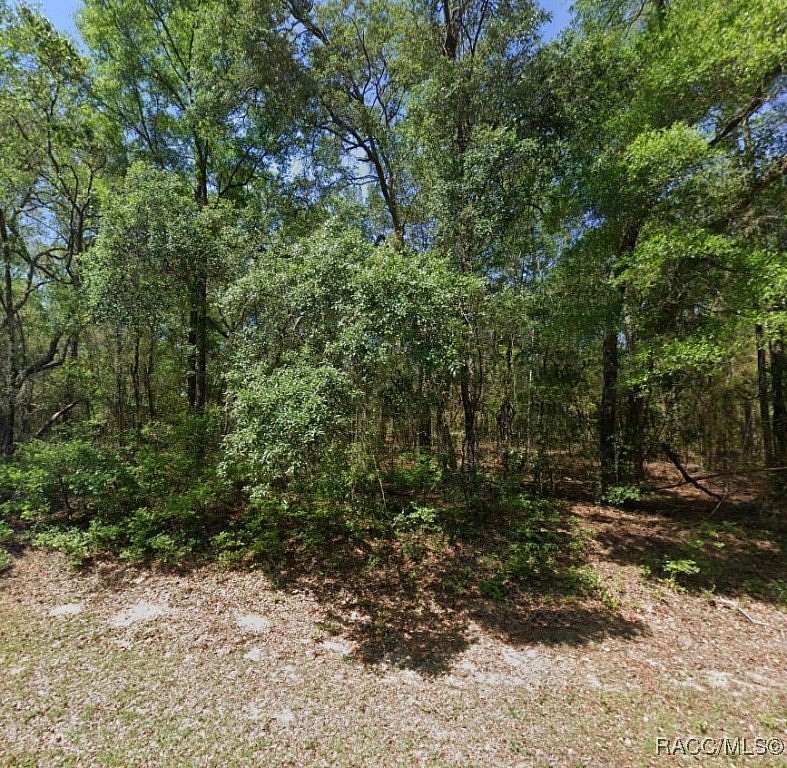 0.68 Acres of Residential Land for Sale in Dunnellon, Florida